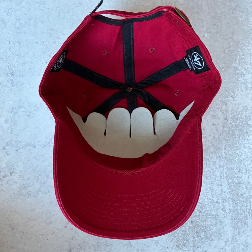 Arizona Diamond Backs - Picture 5 of 6